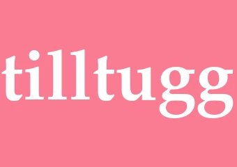 Synonym tilltugg