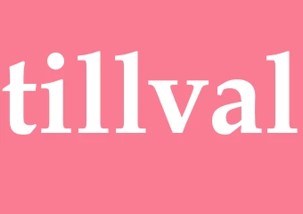 Synonym tillval