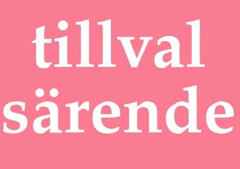 Synonym tillvalsärende