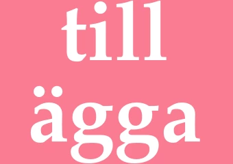 Synonym tillägga