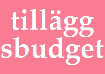 Synonym tilläggsbudget