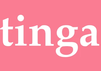 Synonym tinga