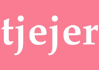 Synonym tjejer