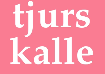 Synonym tjurskalle