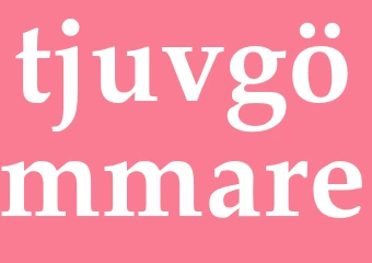 Synonym tjuvgömmare