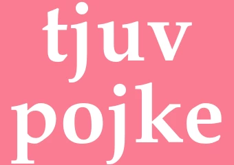 Synonym tjuvpojke