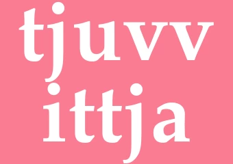 Synonym tjuvvittja
