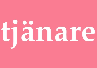 Synonym tjänare