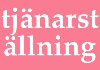 Synonym tjänarställning
