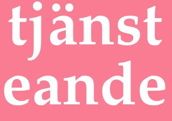 Synonym tjänsteande