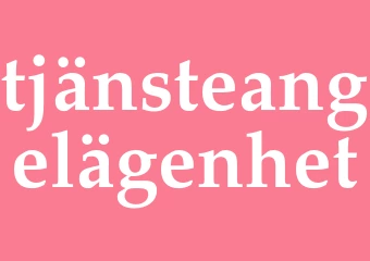 Synonym tjänsteangelägenhet
