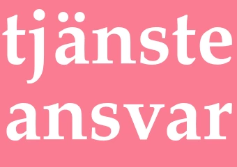 Synonym tjänsteansvar
