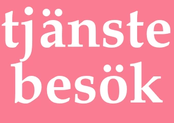 Synonym tjänstebesök