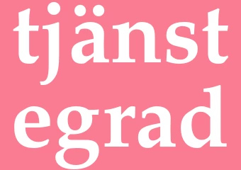 Synonym tjänstegrad