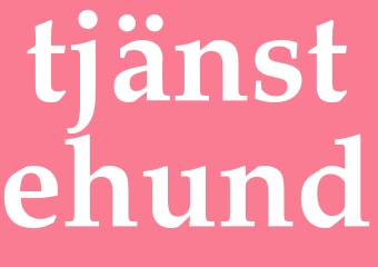 Synonym tjänstehund