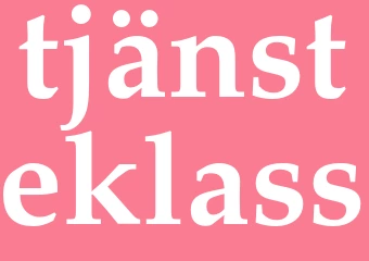 Synonym tjänsteklass