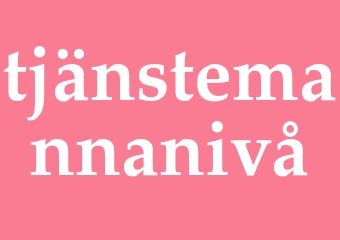 Synonym tjänstemannanivå