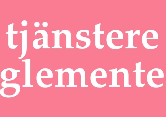 Synonym tjänstereglemente