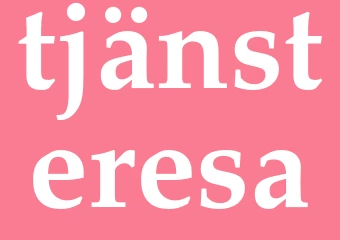 Synonym tjänsteresa