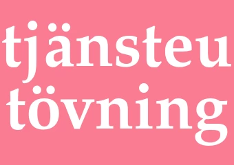 Synonym tjänsteutövning