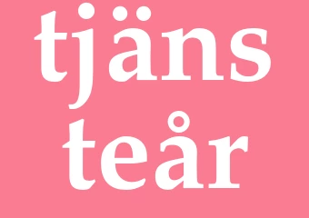 Synonym tjänsteår