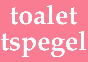 Synonym toalettspegel