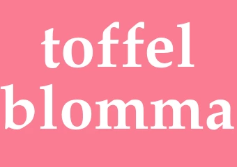 Synonym toffelblomma