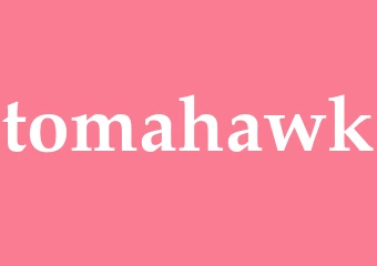 Synonym tomahawk