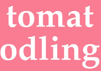 Synonym tomatodling