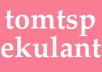 Synonym tomtspekulant