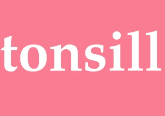 Synonym tonsill
