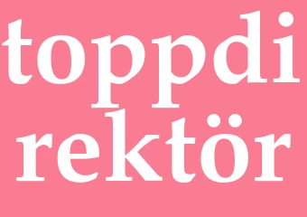 Synonym toppdirektör