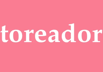 Synonym toreador