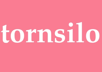 Synonym tornsilo