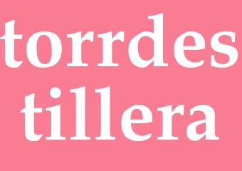 Synonym torrdestillera