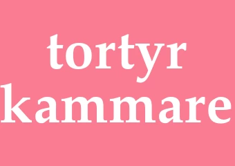 Synonym tortyrkammare