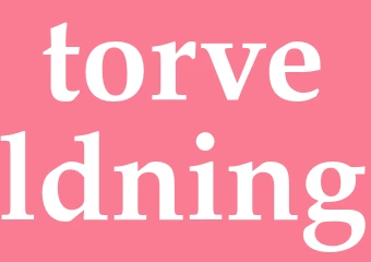 Synonym torveldning