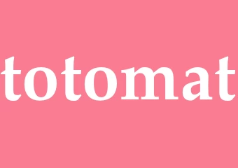 Synonym totomat
