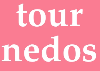 Synonym tournedos