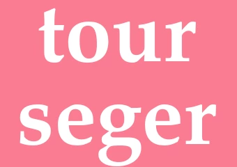 Synonym tourseger