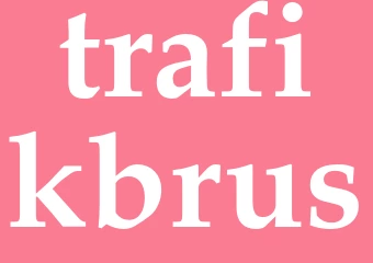 Synonym trafikbrus