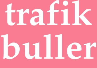 Synonym trafikbuller
