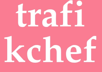 Synonym trafikchef