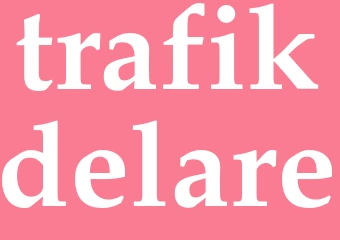 Synonym trafikdelare