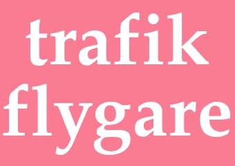Synonym trafikflygare