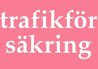 Synonym trafikförsäkring