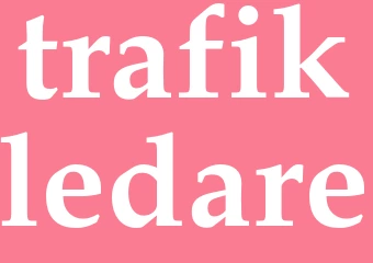 Synonym trafikledare