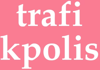 Synonym trafikpolis