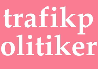 Synonym trafikpolitiker