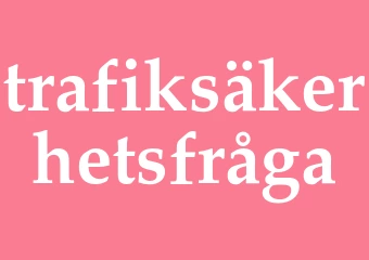 Synonym trafiksäkerhetsfråga